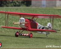 TSR Watermark - 0426